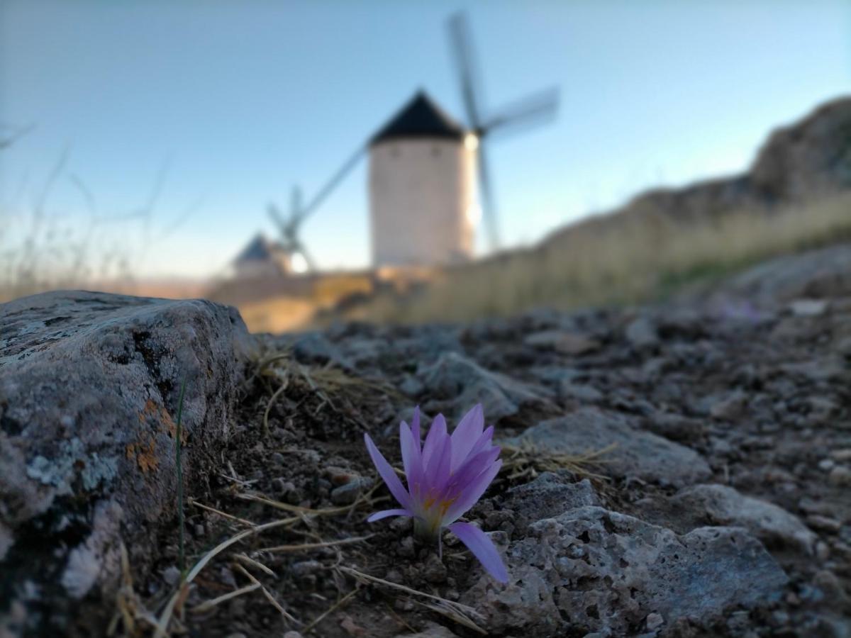 Gasthaus Azafran Consuegra Exterior foto
